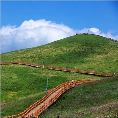 营业规模：森林防火妄想、国家公园妄想、自然；；；；で搿⒆匀灰挪赝